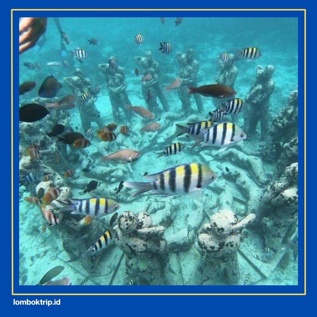 alasan liburan ke lombok
