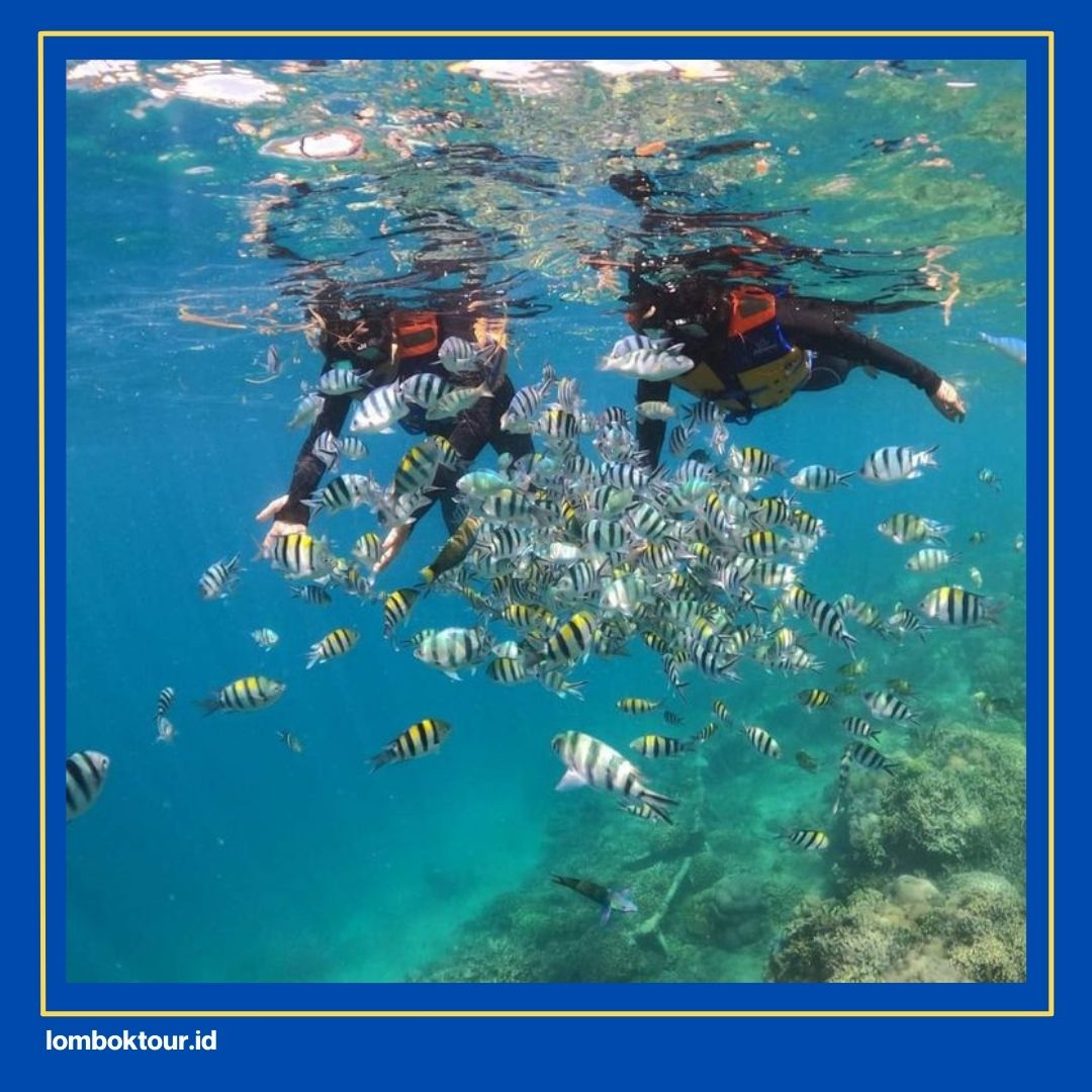 cerita liburan ke lombok dalam bahasa inggris