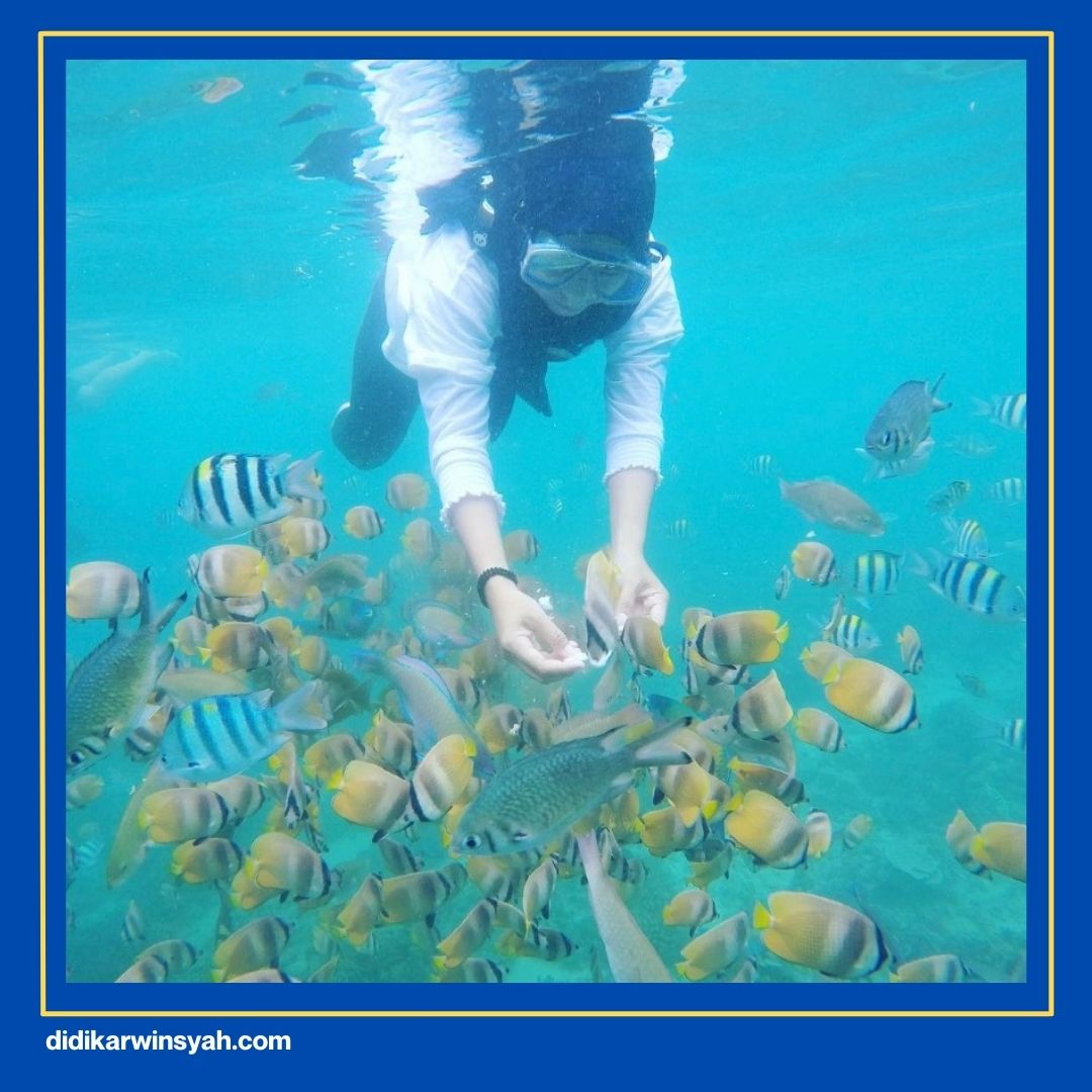 paket wisata lombok dari malang