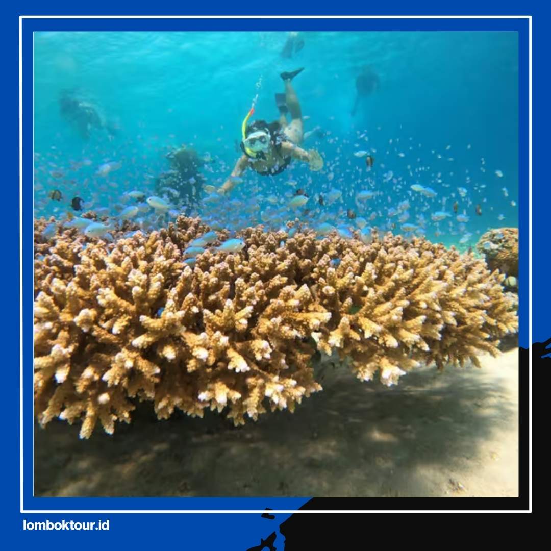 Kepulauan Gili Terletak di Mana Ini Fakta Menarik Surga Tropis Lombok yang Wajib Kamu Tahu