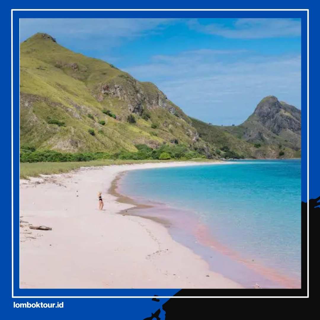 Jangan Berangkat Dulu! Cek Waktu Terbaik ke Pantai Pink Lombok Biar Gak Kecewa
