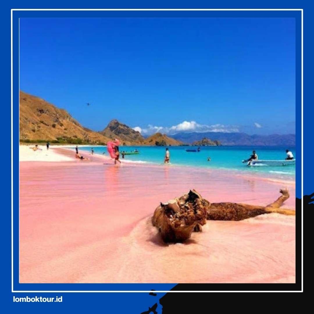 Liburan Akhir Tahun Pilih 8 Tempat Liburan di Lombok Timur Ini yang Masih Sepi Turis!