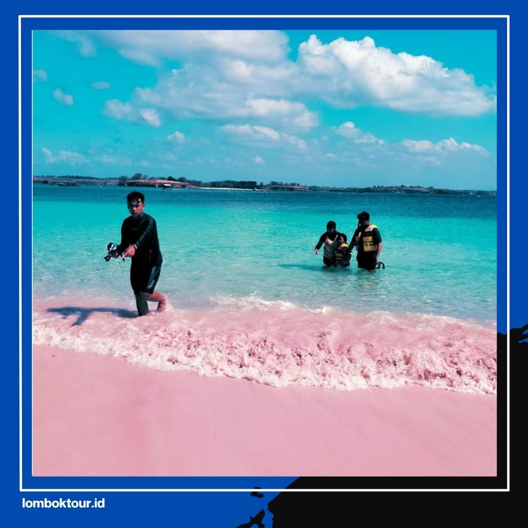 Stop Cari Tiket ke Luar Negeri! Pantai Pasir Pink Lombok Tawarkan Vibes Internasional di Indonesia