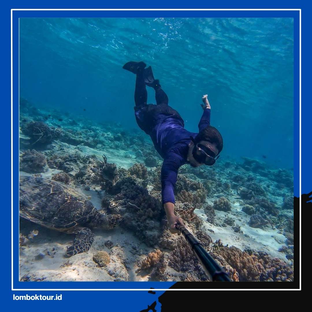 Paket Tour Lombok 3 Hari 2 Malam Ini Bikin Liburan Singkatmu Jadi Tak Terlupakan