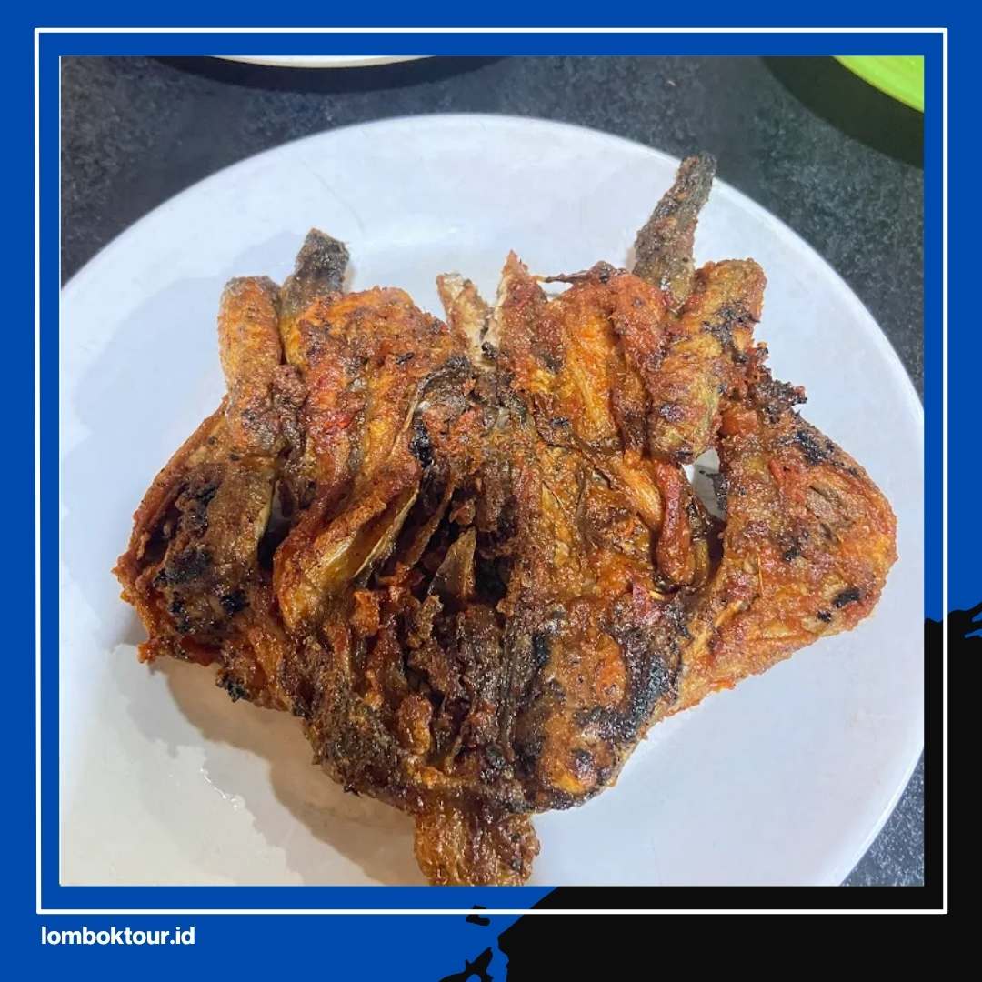 Jauh-jauh ke NTB Ternyata Ini 7 Warung Ayam Taliwang Lombok Paling Enak Pilihan Warga Lokal