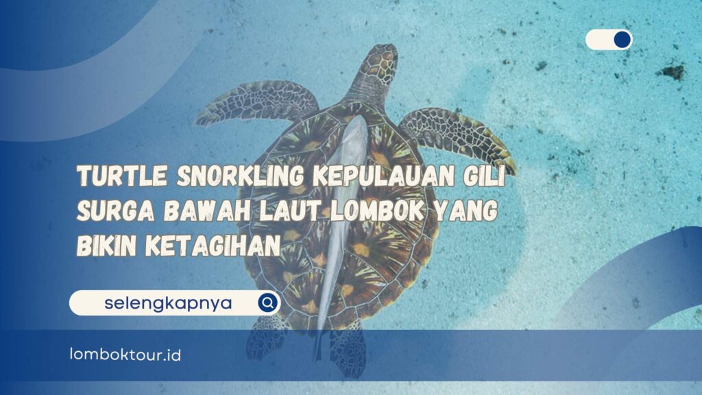 Turtle Snorkling Kepulauan Gili Surga Bawah Laut Lombok yang Bikin Ketagihan